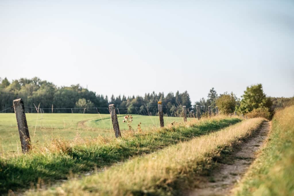 Wanderweg direkt am Hotel des Restaurant und Landhotel Winter