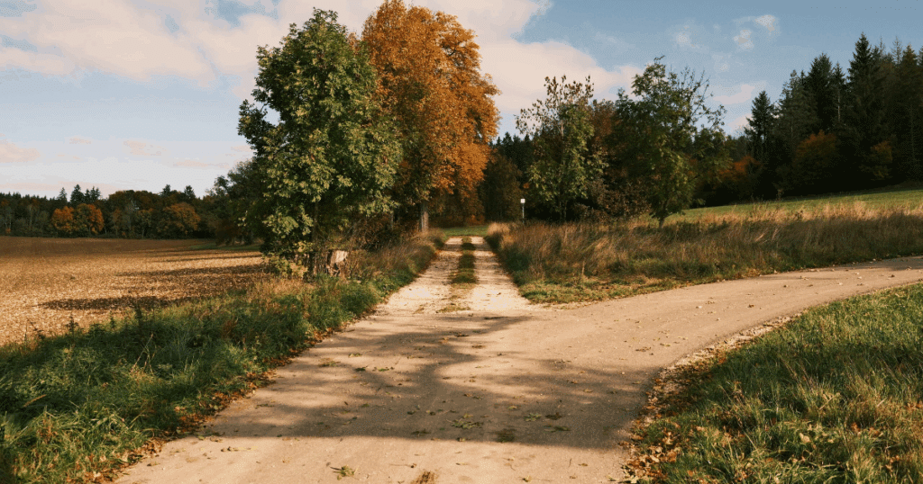 Wanderweg am Landhotel Winter auf der Schwäbischen Alb