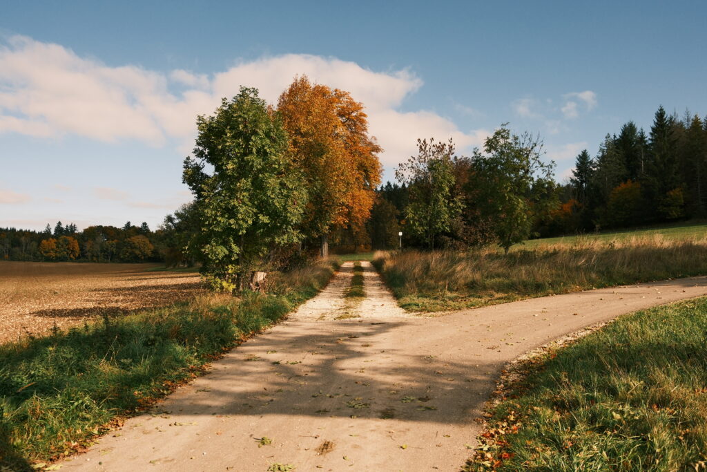 Herbst auf der Schwäbischen ALb