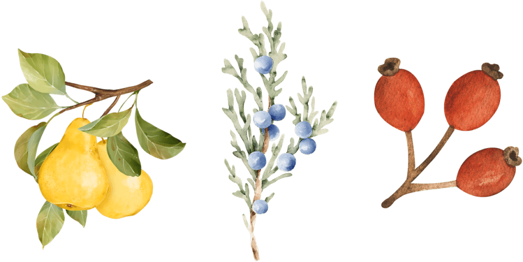 Icons Birne, Wacholder und Hagebutte