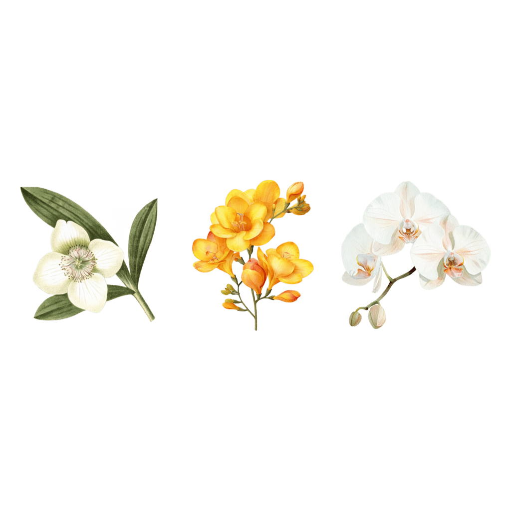 Gezeichnete Blumen - Icons