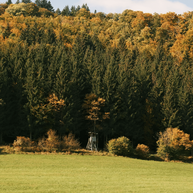 Jägerstand in der Natur der Schwäbioschen Alb.