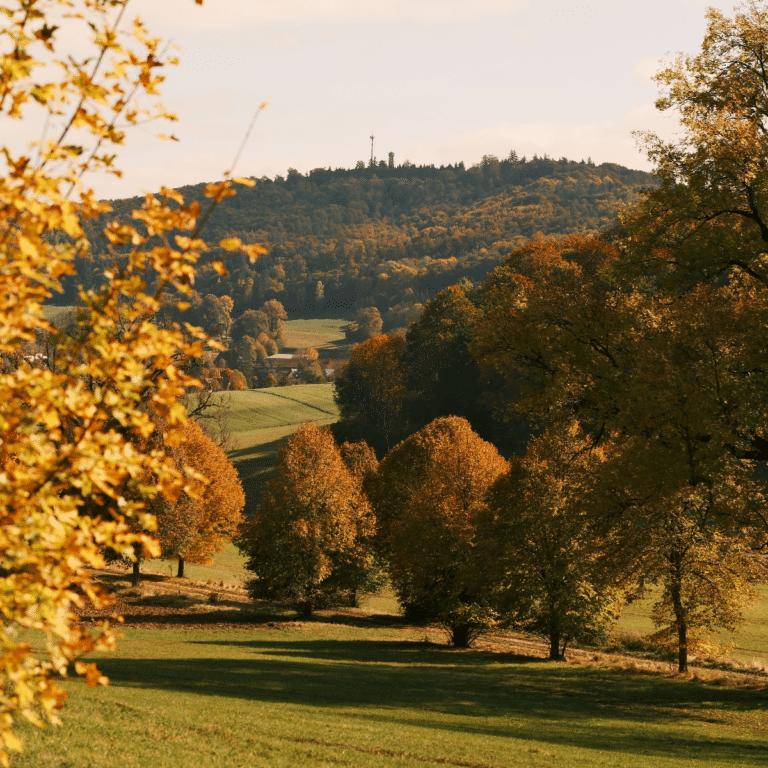 Blick auf den Sternbergturm in Gomadingen.
