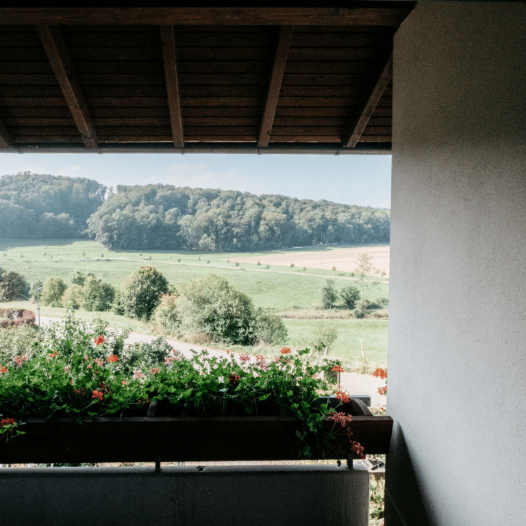 Blick vom Balkon im Restaurant und Landhotel Winter.