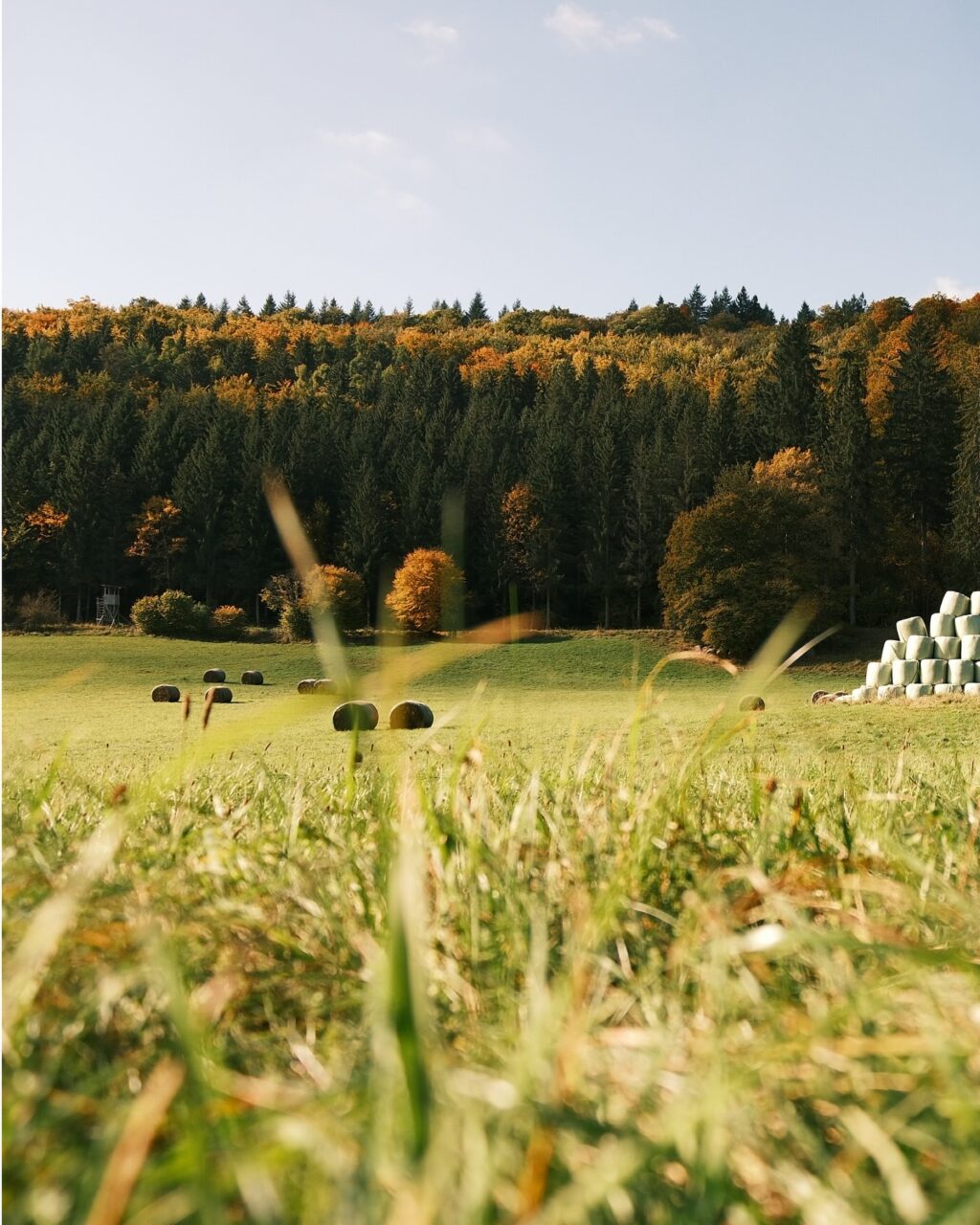 Instagram post from landhotel_winter. This post is in position 5.