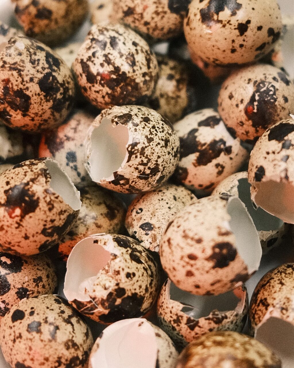 Instagram post from landhotel_winter. This post is in position 6.