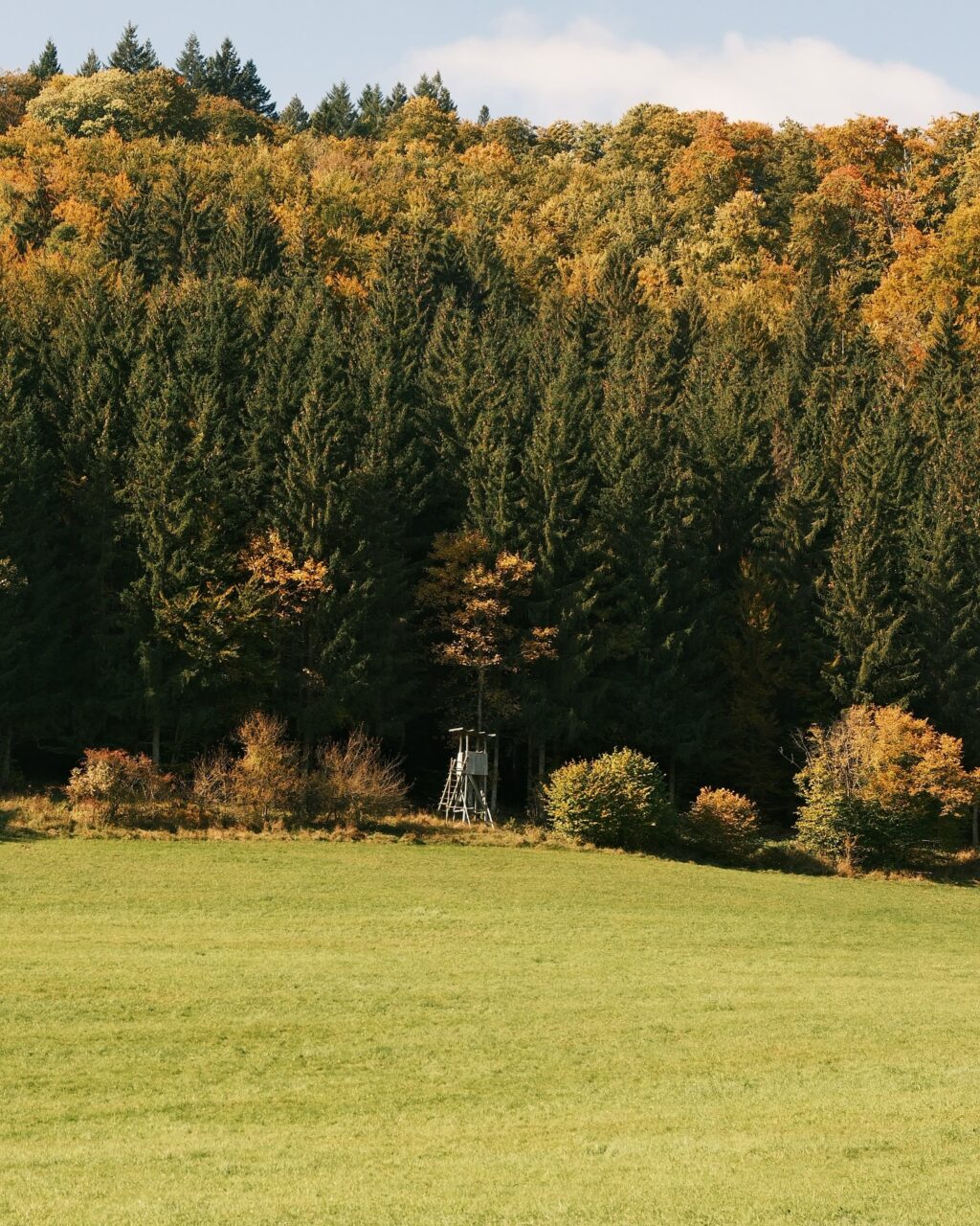 Instagram post from landhotel_winter. This post is in position 3.