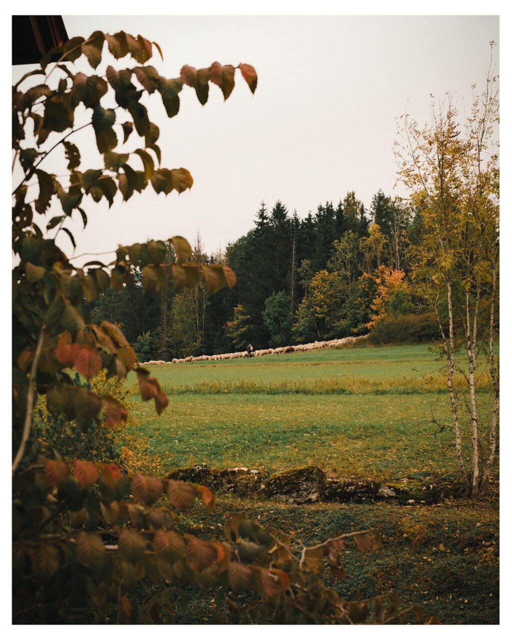 Instagram post from landhotel_winter. This post is in position 1.